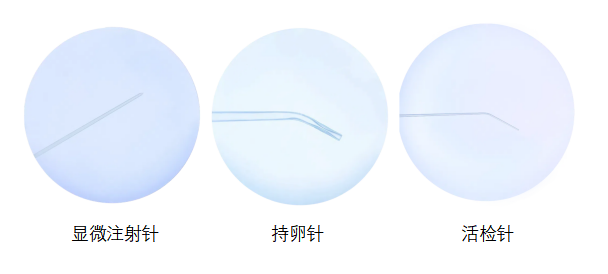 微信图片_20241218113851.png